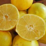 چرا لیمو شیرین تلخ می‌شود؟