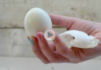چگونه تخم مرغ آب پز را پوست کنیم؟